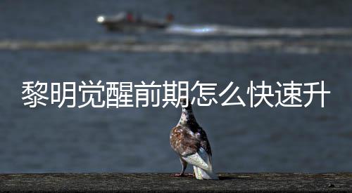 明觉怎么快速醒快黎明 黎觉醒级方前期法介升级速升绍